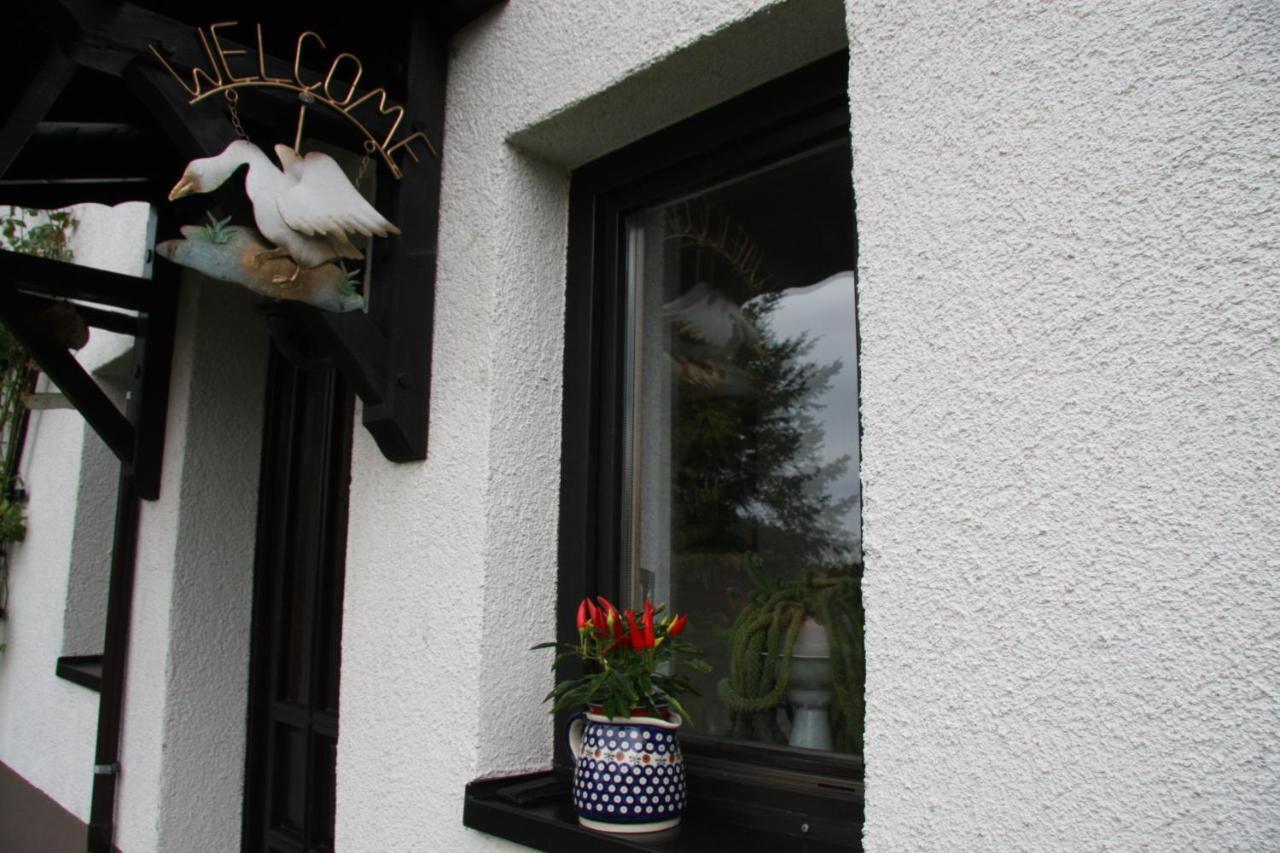 Ferienwohnung Am Steinbachtal Thale Exterior foto